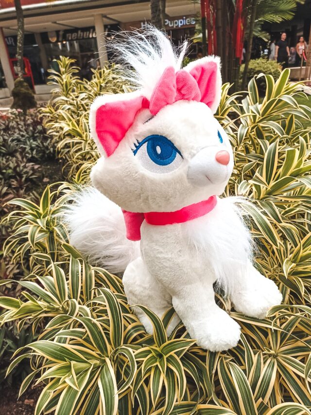 Peluche Gata Marie