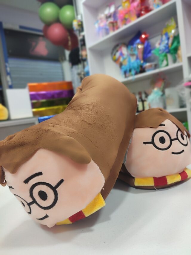 Babuchas Harry Potter