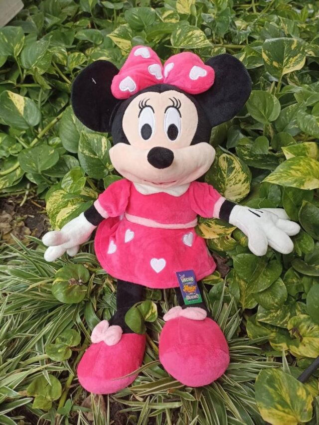 peluches cali