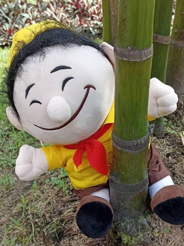 Peluche Up Movie: Niño Russell