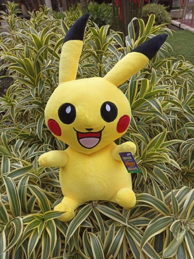 peluches cali