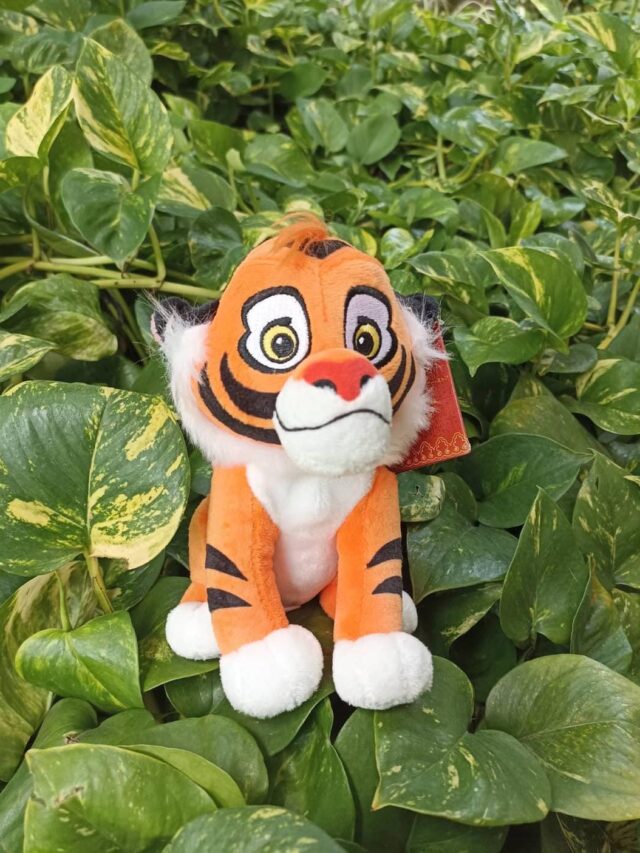 peluches cali