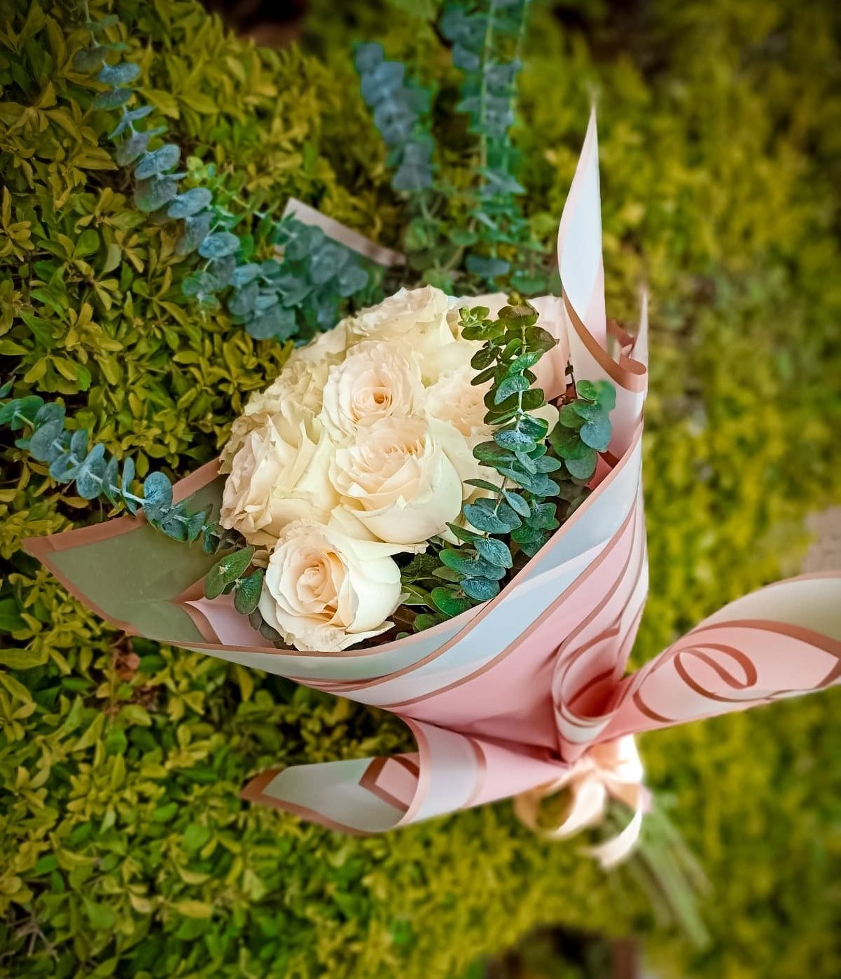 Encanto floral - Imagen 4